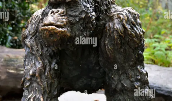 De Gorilla’s van Zoo Antwerpen: Een Blik op Natuurbehoud