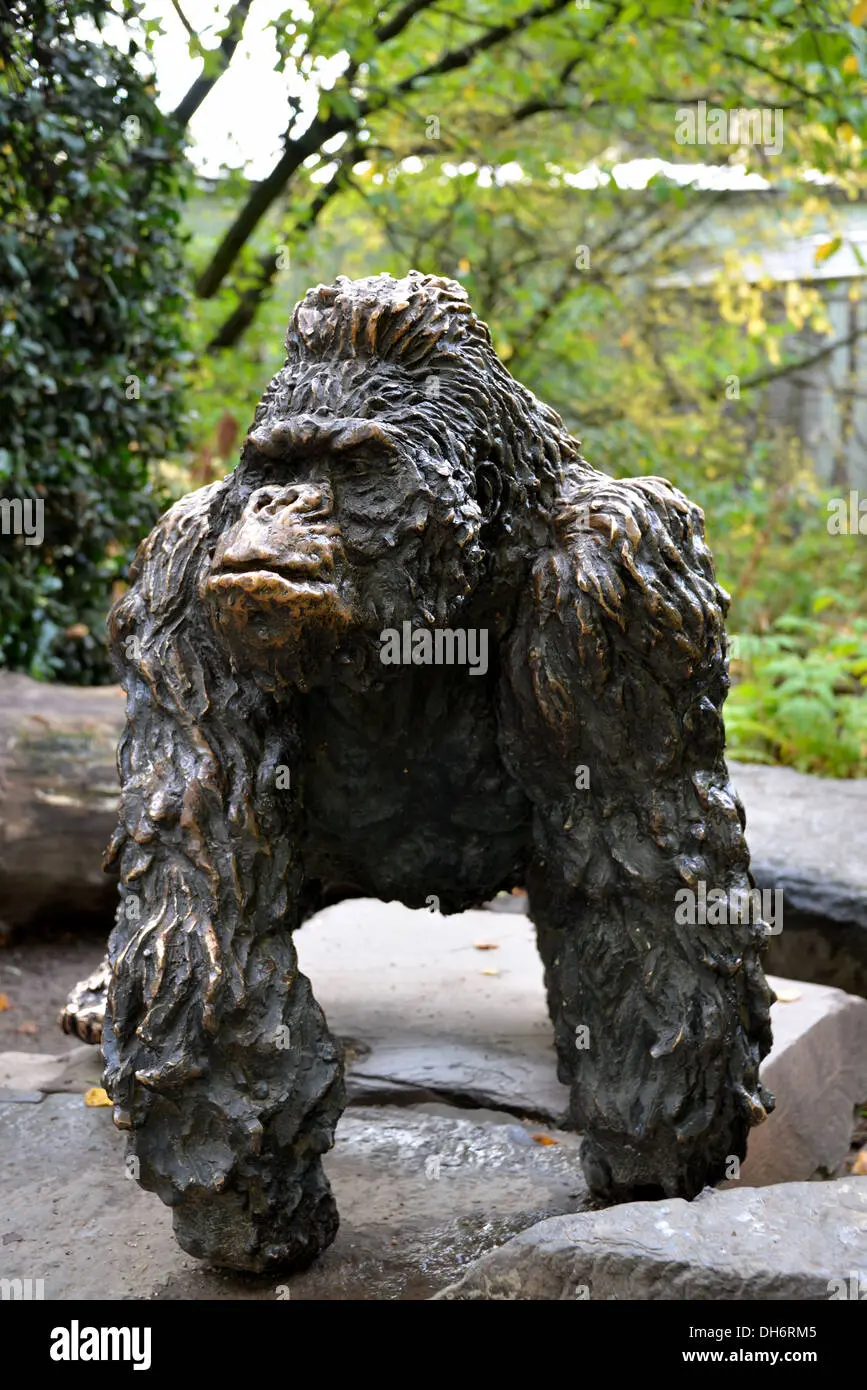 De Gorilla’s van Zoo Antwerpen: Een Blik op Natuurbehoud