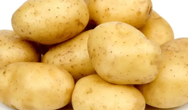 aardappel — NL news