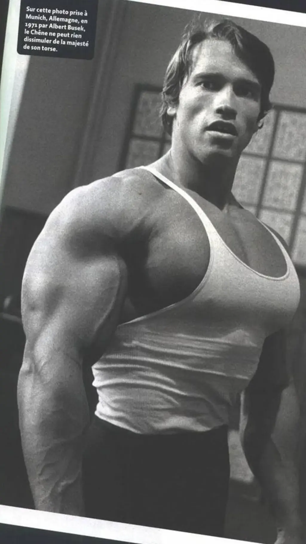 Arnold schwarzenegger