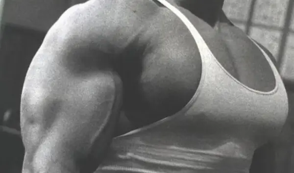 arnold schwarzenegger — NL news