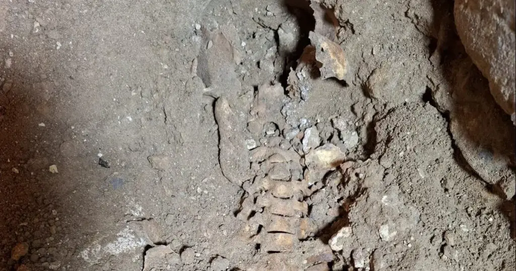 D’artagnan: Skelet van  mogelijk gevonden in Maastricht