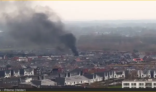 dagpauwoog apeldoorn — NL news