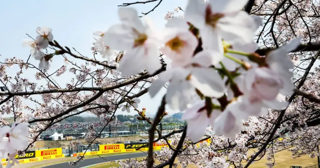 F1: Crash in Porsche Carrera Cup vertraagt Grand Prix van Japan
