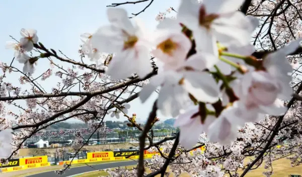 f1 — NL news