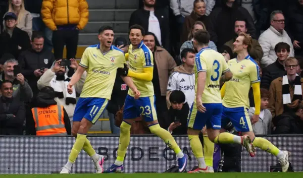 fulham - southampton — NL news