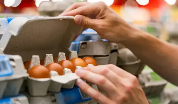 goedkoopste eieren supermarkt — NL news