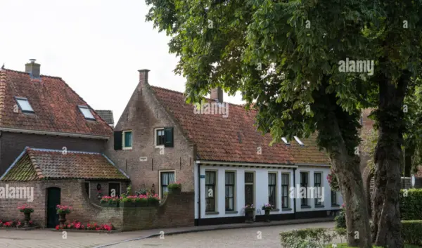 hattem — NL news