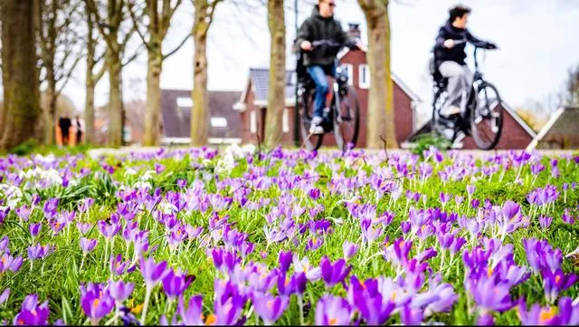 Knmi waarschuwt voor dichte mist in Zuid-Holland