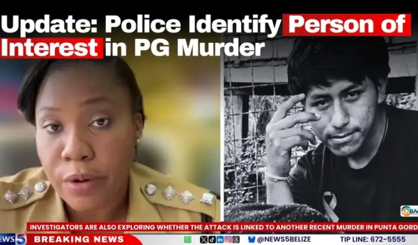 person of interest — NL news