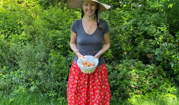 pfas eieren — NL news