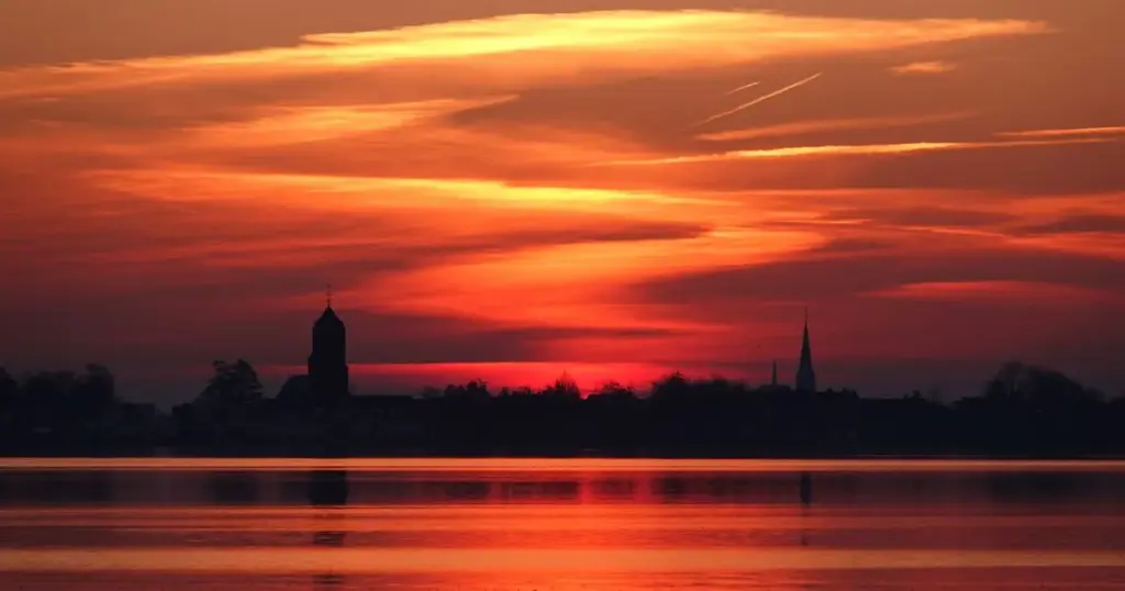 Saharazand in Nederland: Wat u moet weten