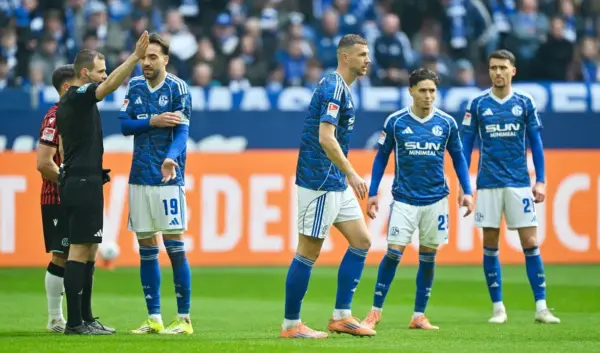 schalke - hannover — NL news