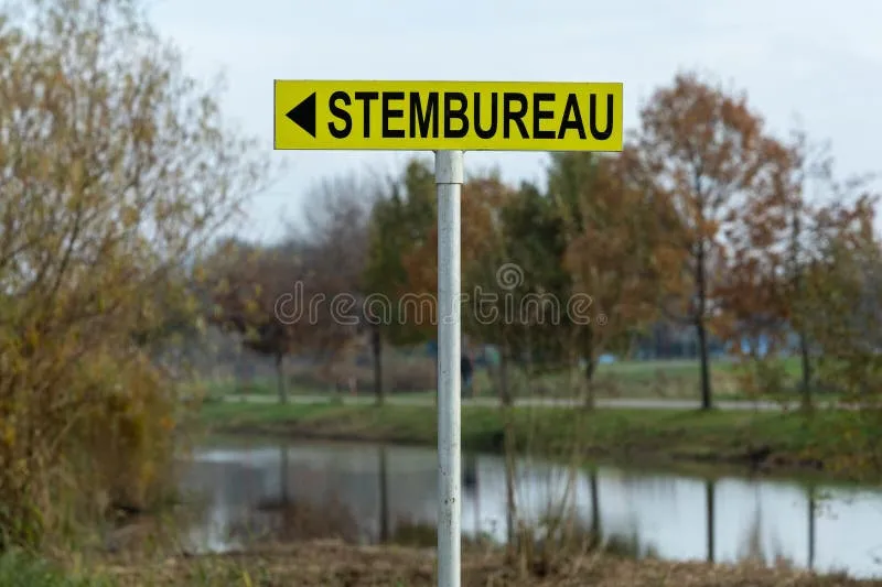 Stembureau: Gemeenteraadsverkiezingen in Den Haag en Leiden