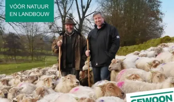 stemmen 18 maart — NL news