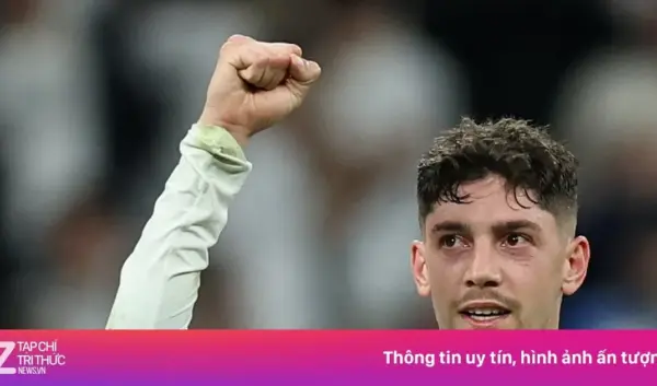 trainer real madrid — NL news