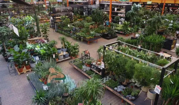 tuincentrum osdorp — NL news