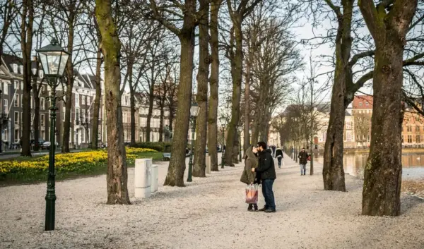weer den haag — NL news