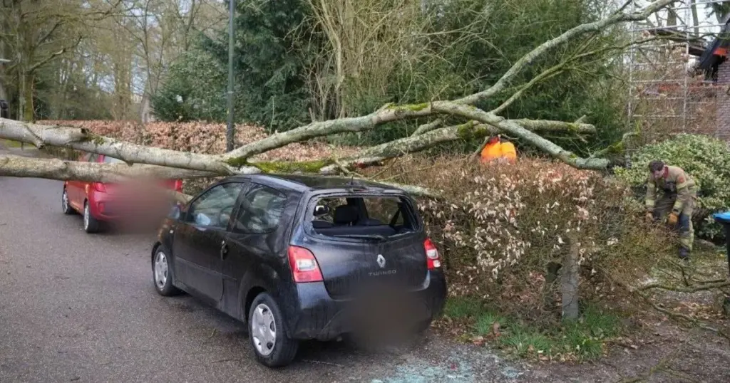 Wind in de regio: stevige windkracht en aankomende buien