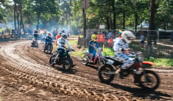 zwarte cross — NL news