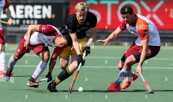 almere - den bosch — NL news