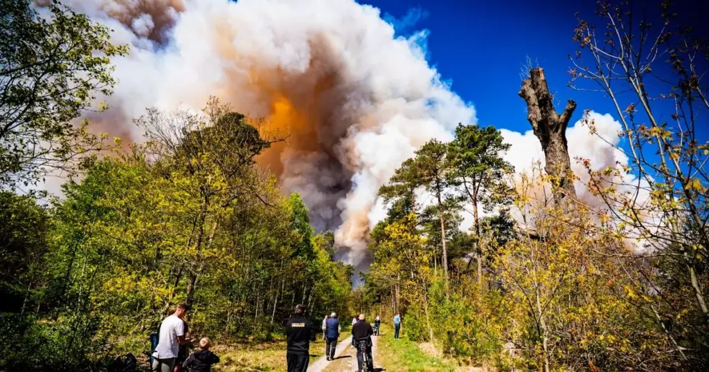 Brand veluwe
