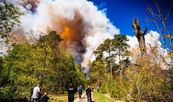 brand veluwe — NL news