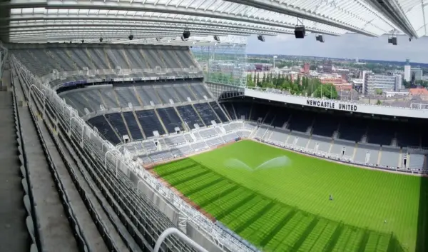 crystal palace - newcastle — NL news