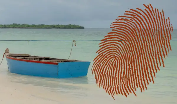 de mol — NL news