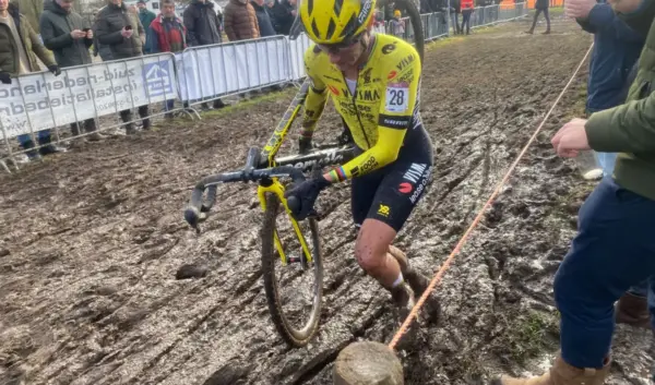 marianne vos — NL news