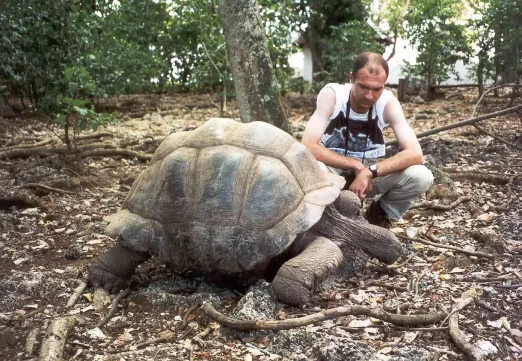 Schildpadden: Jonathan, de oudste schildpad ter wereld, en de recente crypto-oplichting