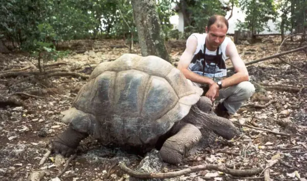 schildpadden — NL news