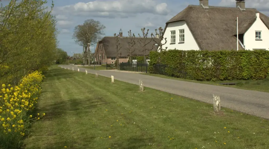Schoonrewoerd: Hennepkwekerij in Leerdam ontdekt aan de Magnoliastraat