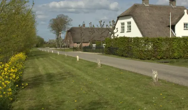 schoonrewoerd — NL news
