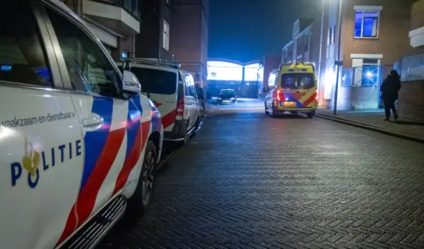 steekpartij schiedam — NL news