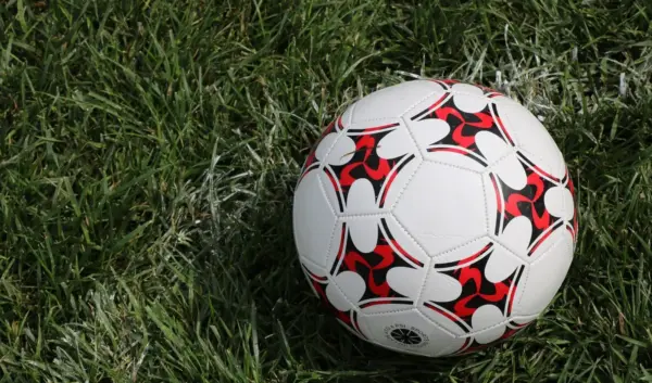 voetbal — NL news