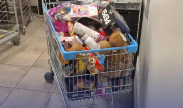 winkeldiefstal — NL news