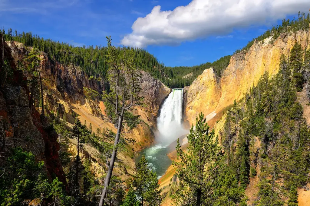 Yellowstone: Ontwikkelingen in : de dood van Monica Dutton