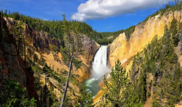 yellowstone — NL news
