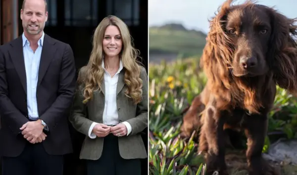 catherine van wales — NL news
