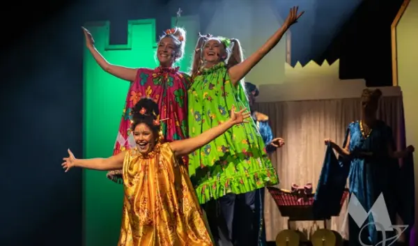 doornroosje musical — NL news