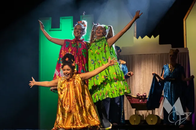 Doornroosje musical