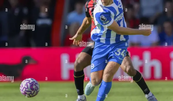 joël veltman — NL news
