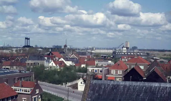 nissewaard — NL news