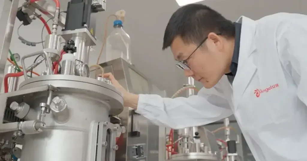 Voedsel: China als leverancier van industrieel geproduceerd vlees