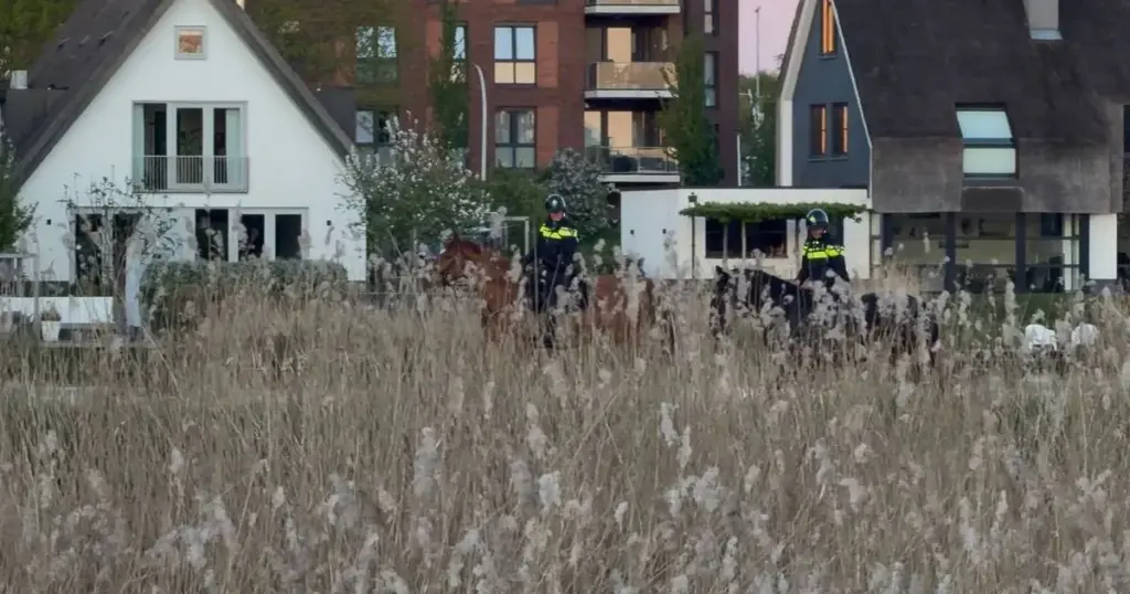 Zwolle: De oude hoefsmederij is een nieuwe hotspot