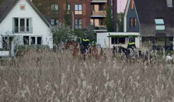zwolle — NL news